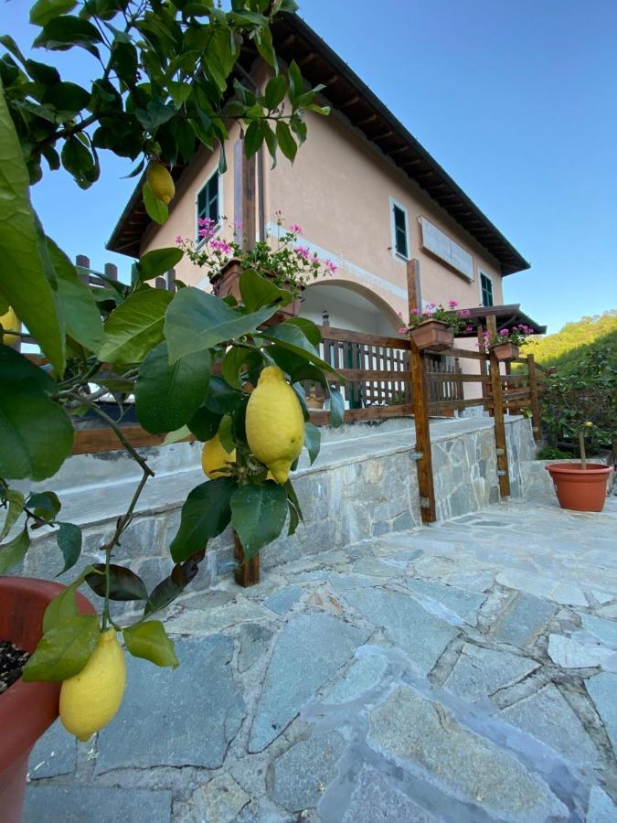 Locanda Da Marco Pignone Kültér fotó