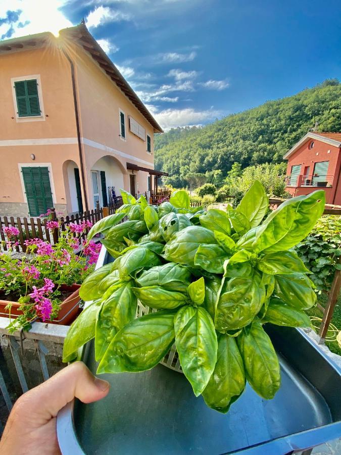 Locanda Da Marco Pignone Kültér fotó