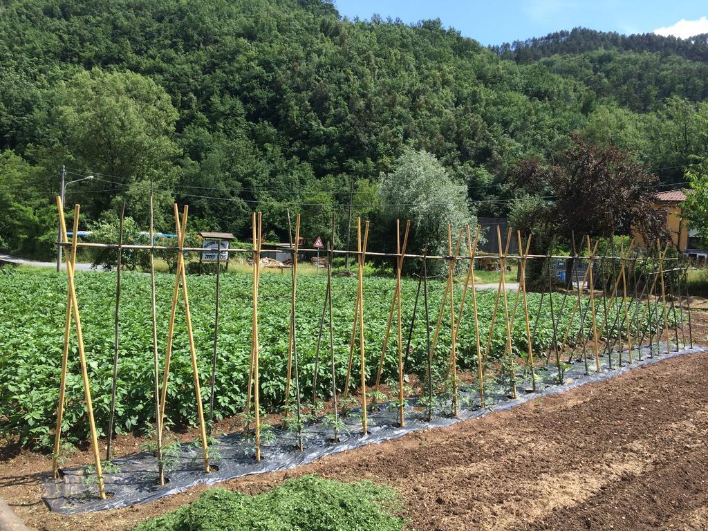Locanda Da Marco Pignone Kültér fotó
