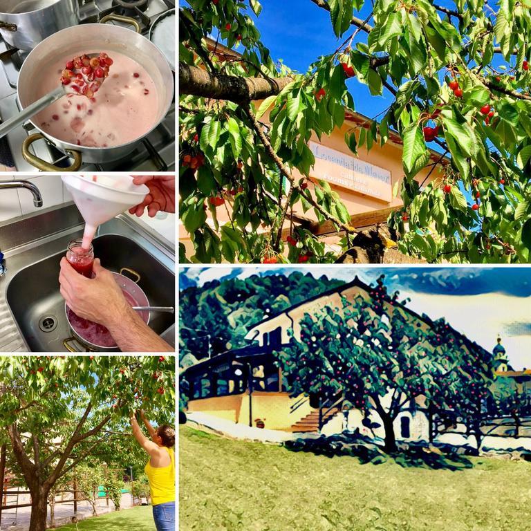 Locanda Da Marco Pignone Kültér fotó